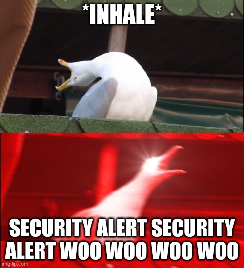 Screaming bird |  *INHALE*; SECURITY ALERT SECURITY ALERT WOO WOO WOO WOO | image tagged in screaming bird | made w/ Imgflip meme maker