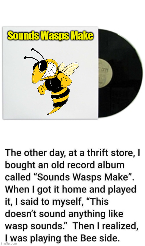 Sounds Wasps Make | image tagged in album cover,eye roll | made w/ Imgflip meme maker