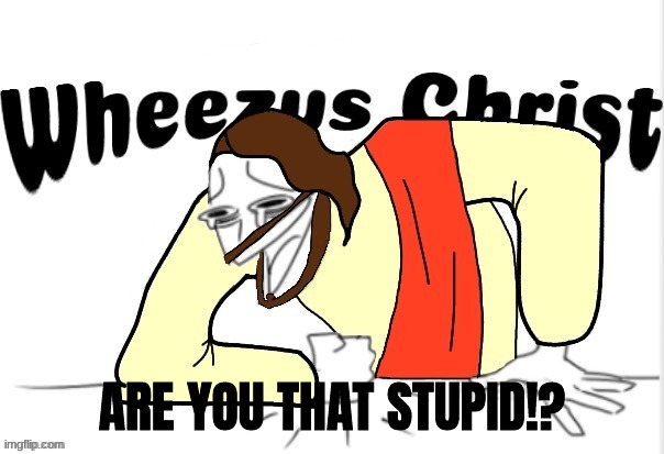 Wheezus Christ | ARE YOU THAT STUPID!? | image tagged in wheezus christ | made w/ Imgflip meme maker