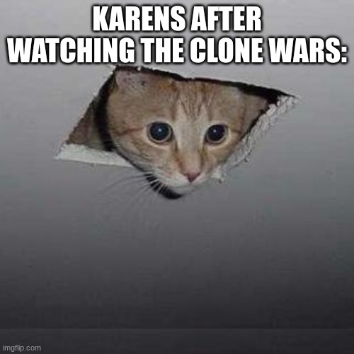Karens after watching clone wars be like | KARENS AFTER WATCHING THE CLONE WARS: | image tagged in memes,ceiling cat | made w/ Imgflip meme maker