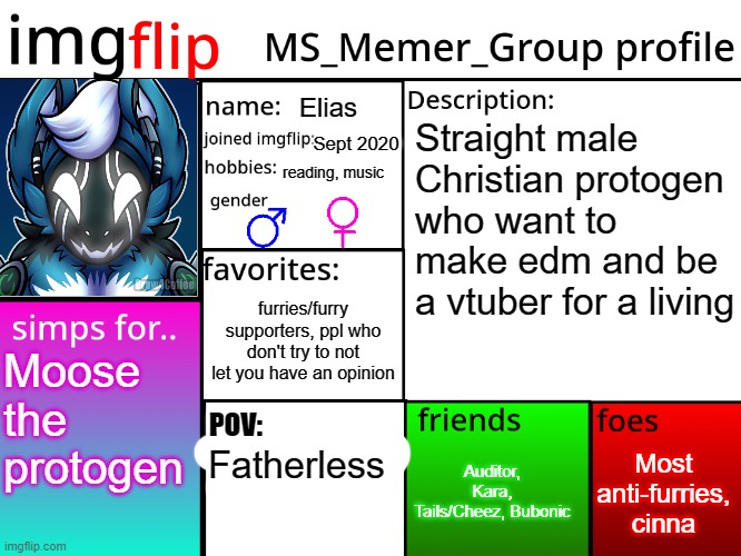 MSMG Profile | Elias; Straight male Christian protogen who want to make edm and be a vtuber for a living; Sept 2020; reading, music; furries/furry supporters, ppl who don't try to not let you have an opinion; Moose the protogen; POV:; Most anti-furries, cinna; Auditor, Kara, Tails/Cheez, Bubonic; Fatherless | image tagged in msmg profile | made w/ Imgflip meme maker