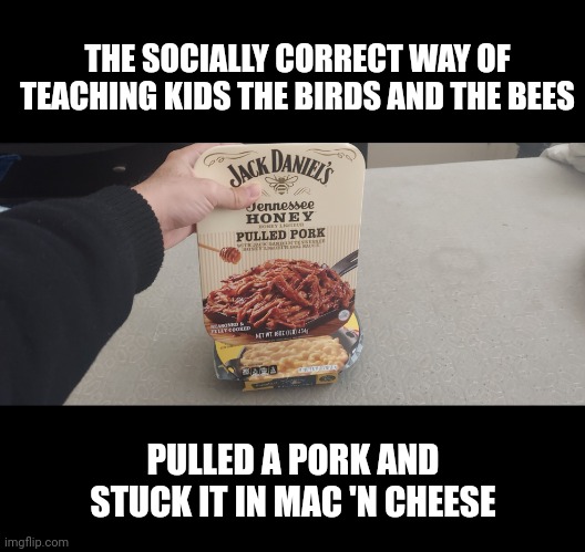The socially correct way of teaching kids the birds and the bees | THE SOCIALLY CORRECT WAY OF TEACHING KIDS THE BIRDS AND THE BEES; PULLED A PORK AND STUCK IT IN MAC 'N CHEESE | image tagged in jack daniel's meat inside signaturia selectian's cheese | made w/ Imgflip meme maker