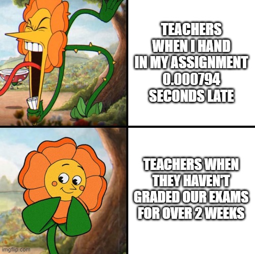 I'm back (well not really, just thought of a meme) | TEACHERS WHEN I HAND IN MY ASSIGNMENT 0.000794 SECONDS LATE; TEACHERS WHEN THEY HAVEN'T GRADED OUR EXAMS FOR OVER 2 WEEKS | image tagged in angry flower | made w/ Imgflip meme maker