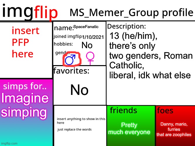 MSMG Profile | SpaceFanatic; 13 (he/him), there’s only two genders, Roman Catholic, liberal, idk what else; 1/10/2021; No; No; Imagine simping; Danny, mario, furries that are zoophiles; Pretty much everyone | image tagged in msmg profile | made w/ Imgflip meme maker