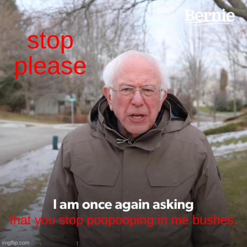 Bernie I Am Once Again Asking For Your Support | stop please; that you stop poopooping in me bushes. | image tagged in memes,bernie i am once again asking for your support | made w/ Imgflip meme maker
