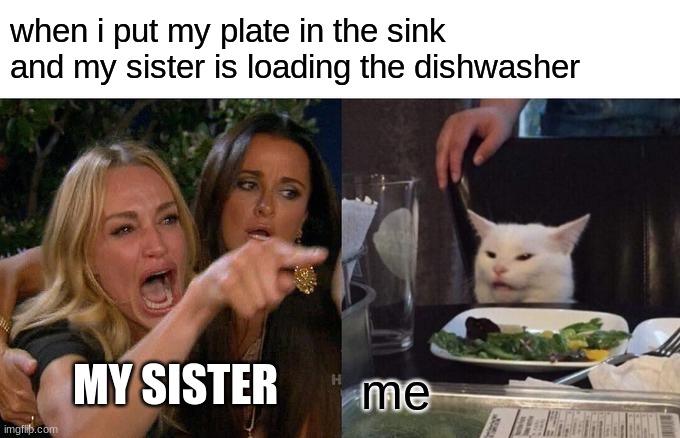 irritating complete | when i put my plate in the sink and my sister is loading the dishwasher; MY SISTER; me | image tagged in memes,woman yelling at cat | made w/ Imgflip meme maker