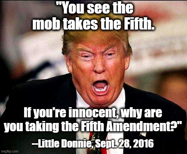 Trump mob pleads the fifth | "You see the mob takes the Fifth. If you're innocent, why are you taking the Fifth Amendment?"; --Little Donnie, Sept. 28, 2016 | image tagged in trump,fifth amendment,mob,trump lies | made w/ Imgflip meme maker
