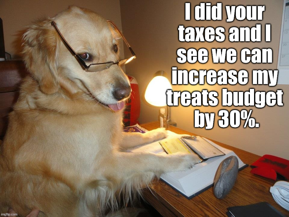I did your 
taxes and I 
see we can 
increase my 
treats budget 
by 30%. | image tagged in dogs | made w/ Imgflip meme maker