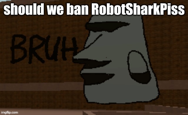 Bruh | should we ban RobotSharkPiss | image tagged in bruh | made w/ Imgflip meme maker