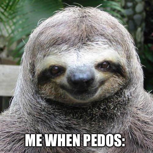 Rape Sloth  | ME WHEN PEDOS: | image tagged in rape sloth | made w/ Imgflip meme maker