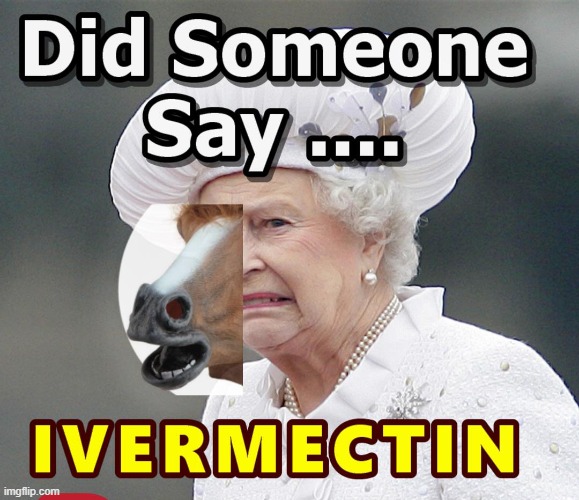 Hello Mr Ed !!! | image tagged in long live the queen horse | made w/ Imgflip meme maker