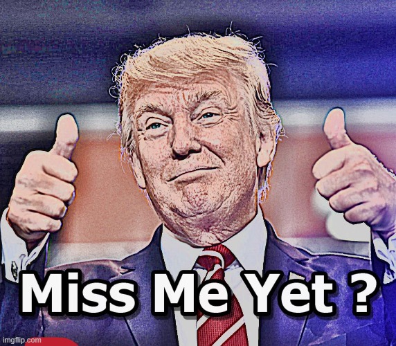 Miss Me ?? | image tagged in miss trump yet | made w/ Imgflip meme maker