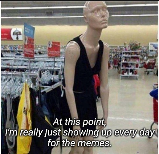 Exhausted Retail Associate | At this point,
I'm really just showing up every day
for the memes. | image tagged in exhausted retail associate | made w/ Imgflip meme maker