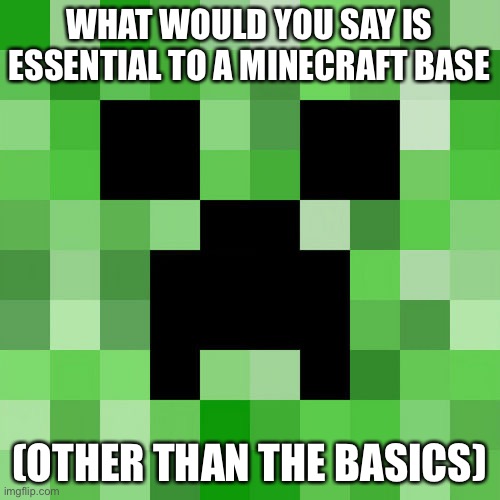Scumbag Minecraft | WHAT WOULD YOU SAY IS ESSENTIAL TO A MINECRAFT BASE; (OTHER THAN THE BASICS) | image tagged in memes,scumbag minecraft | made w/ Imgflip meme maker