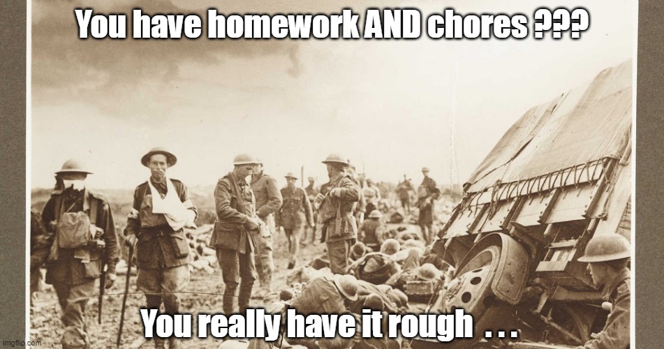 You have homework AND chores ??? You really have it rough  . . . | made w/ Imgflip meme maker