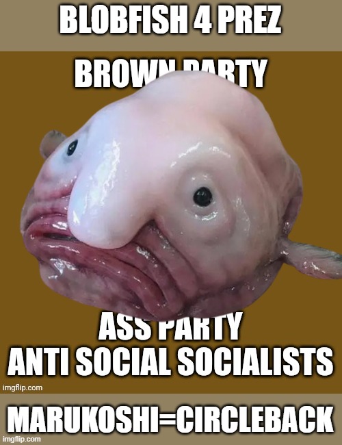 President Zoloft | BLOBFISH 4 PREZ; MARUKOSHI=CIRCLEBACK | image tagged in blank brown party template ass anti social socialists,president,vote,bsc,brown,cha cha real smooth | made w/ Imgflip meme maker