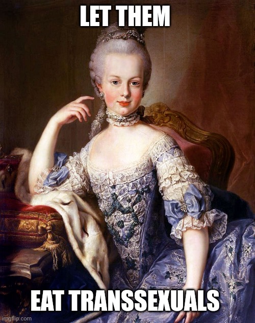 Marie Antoinette | LET THEM EAT TRANSSEXUALS | image tagged in marie antoinette | made w/ Imgflip meme maker