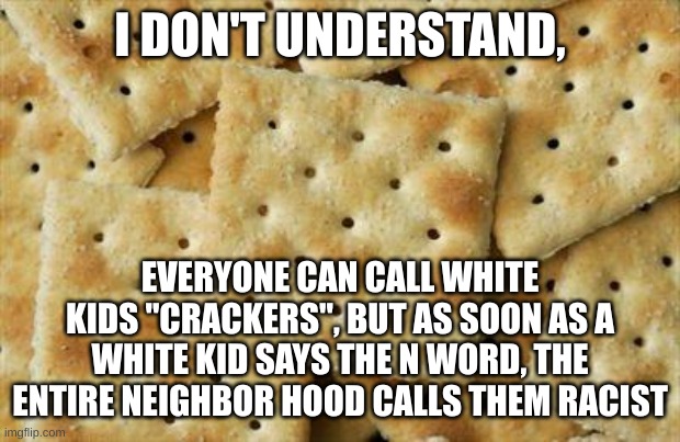 hmm yes, logic | I DON'T UNDERSTAND, EVERYONE CAN CALL WHITE KIDS "CRACKERS", BUT AS SOON AS A WHITE KID SAYS THE N WORD, THE ENTIRE NEIGHBOR HOOD CALLS THEM RACIST | image tagged in crackers | made w/ Imgflip meme maker