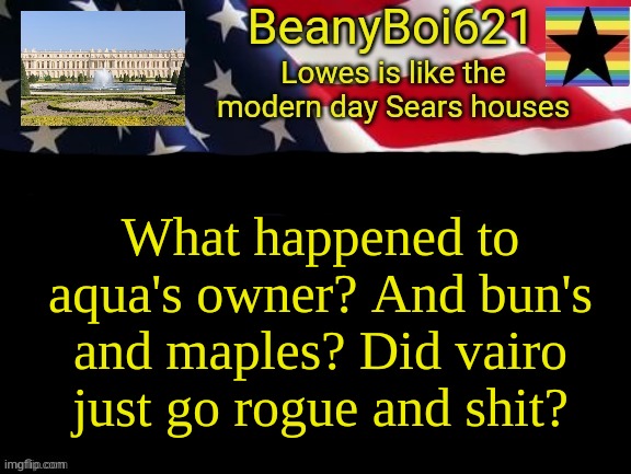 American beany | What happened to aqua's owner? And bun's and maples? Did vairo just go rogue and shit? | image tagged in american beany | made w/ Imgflip meme maker