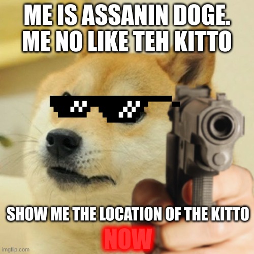 Help Him | ME IS ASSANIN DOGE. ME NO LIKE TEH KITTO; SHOW ME THE LOCATION OF THE KITTO; NOW | image tagged in doge holding a gun | made w/ Imgflip meme maker