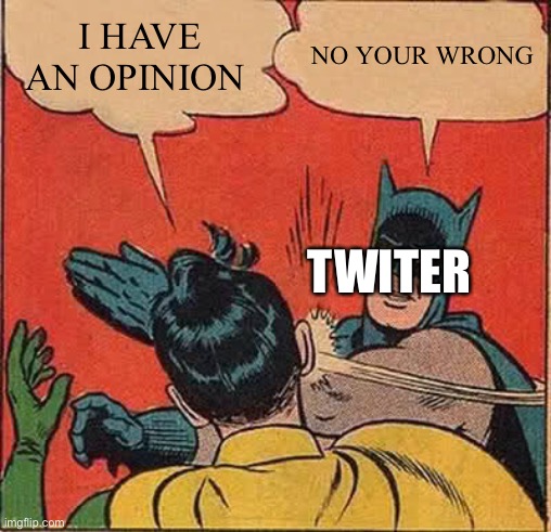 Batman Slapping Robin | I HAVE AN OPINION; NO YOUR WRONG; TWITER | image tagged in memes,batman slapping robin | made w/ Imgflip meme maker