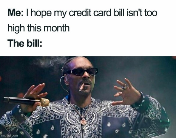 image tagged in too damn high,high,snoop dogg,snoop dogg approves | made w/ Imgflip meme maker