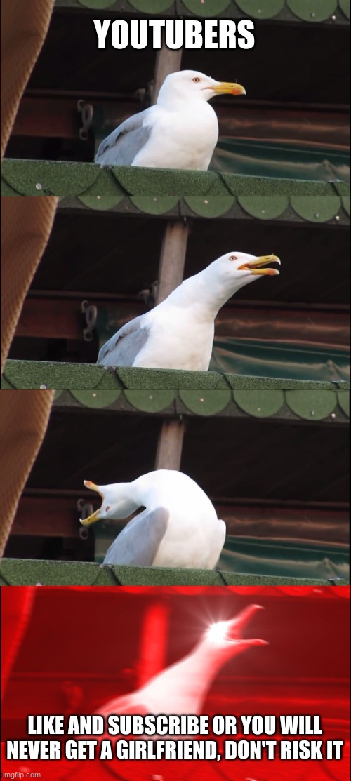 Inhaling seagull | YOUTUBERS; LIKE AND SUBSCRIBE OR YOU WILL NEVER GET A GIRLFRIEND, DON'T RISK IT | image tagged in memes,inhaling seagull | made w/ Imgflip meme maker