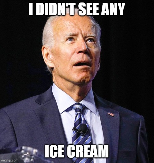 Joe Biden | I DIDN'T SEE ANY ICE CREAM | image tagged in joe biden | made w/ Imgflip meme maker