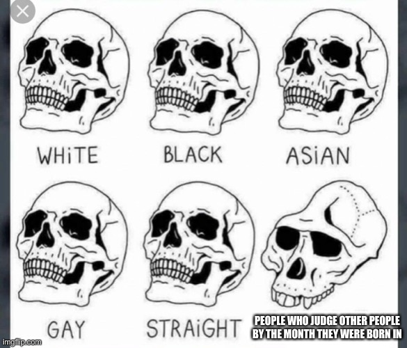 Ah zodiac signs | PEOPLE WHO JUDGE OTHER PEOPLE
BY THE MONTH THEY WERE BORN IN | image tagged in white black asian gay straight skull template | made w/ Imgflip meme maker