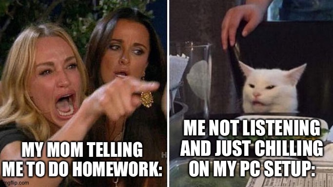 Normal life | MY MOM TELLING ME TO DO HOMEWORK:; ME NOT LISTENING AND JUST CHILLING ON MY PC SETUP: | image tagged in angry lady cat | made w/ Imgflip meme maker