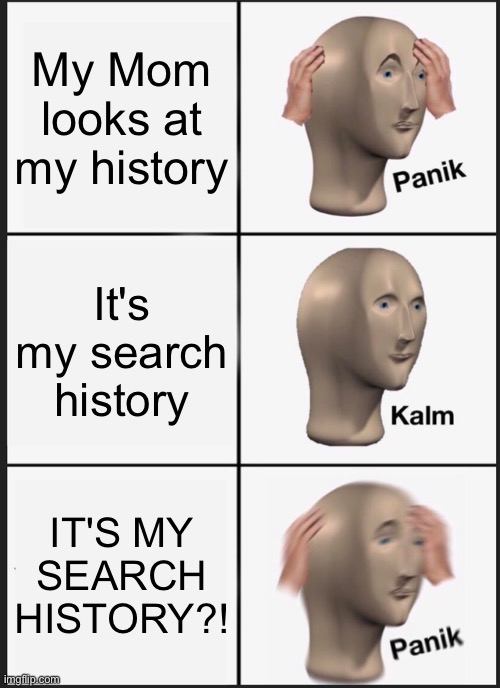 Oh god please no | My Mom looks at my history; It's my search history; IT'S MY SEARCH HISTORY?! | image tagged in memes,panik kalm panik | made w/ Imgflip meme maker