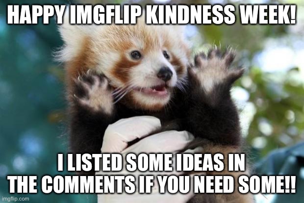 Yay!!!! | HAPPY IMGFLIP KINDNESS WEEK! I LISTED SOME IDEAS IN THE COMMENTS IF YOU NEED SOME!! | image tagged in celebratory red panda | made w/ Imgflip meme maker