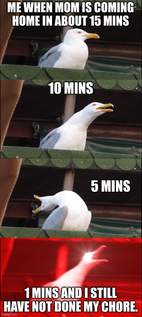 Inhaling Seagull | ME WHEN MOM IS COMING HOME IN ABOUT 15 MINS; 10 MINS; 5 MINS; 1 MINS AND I STILL HAVE NOT DONE MY CHORE. | image tagged in memes,inhaling seagull | made w/ Imgflip meme maker