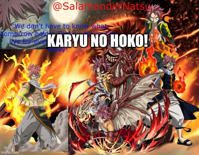 Karyu No | KARYU NO HOKO! | image tagged in salamandernatsu user template,memes,custom template,no,filter | made w/ Imgflip meme maker