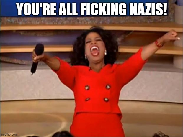 Oprah You Get A Meme | YOU'RE ALL FICKING NAZIS! | image tagged in memes,oprah you get a | made w/ Imgflip meme maker