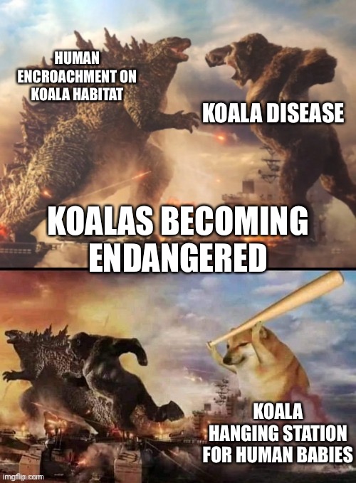 Revenge | HUMAN ENCROACHMENT ON KOALA HABITAT; KOALA DISEASE; KOALAS BECOMING ENDANGERED; KOALA HANGING STATION FOR HUMAN BABIES | image tagged in godzilla vs king kong vs bonk,koala,revenge | made w/ Imgflip meme maker