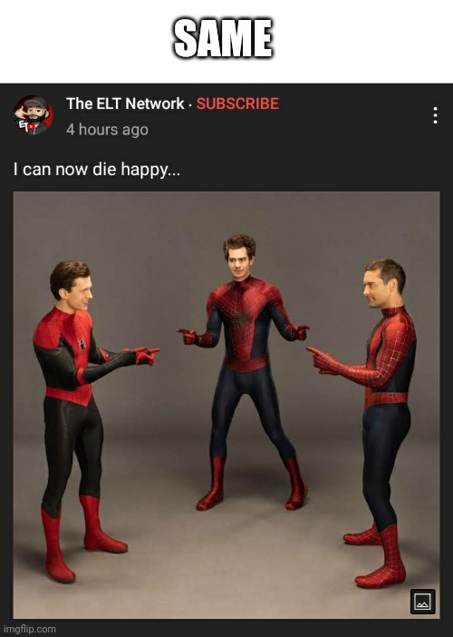 SAME | image tagged in spiderman,no way home,tom holland,tobey maguire,andrew garfield | made w/ Imgflip meme maker