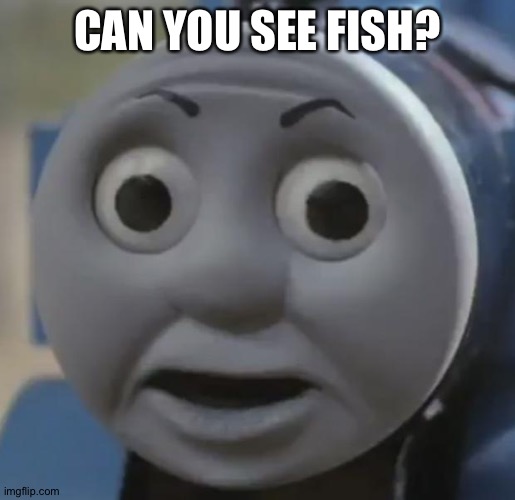 thomas o face | CAN YOU SEE FISH? | image tagged in thomas o face | made w/ Imgflip meme maker