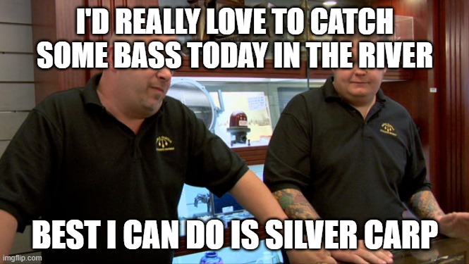 Fishing | I'D REALLY LOVE TO CATCH SOME BASS TODAY IN THE RIVER; BEST I CAN DO IS SILVER CARP | image tagged in pawn stars best i can do | made w/ Imgflip meme maker