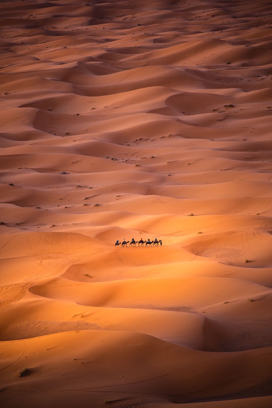 The Sahara | image tagged in awesome,pics,photography | made w/ Imgflip meme maker