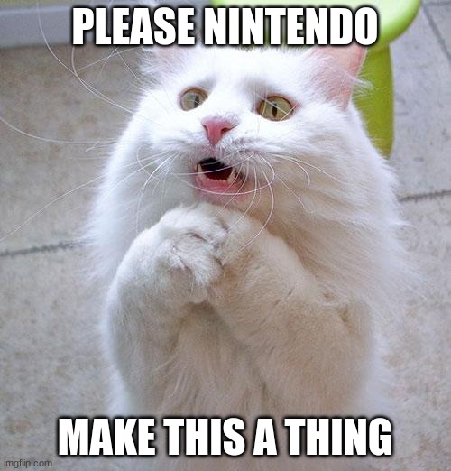 Begging Cat | PLEASE NINTENDO MAKE THIS A THING | image tagged in begging cat | made w/ Imgflip meme maker