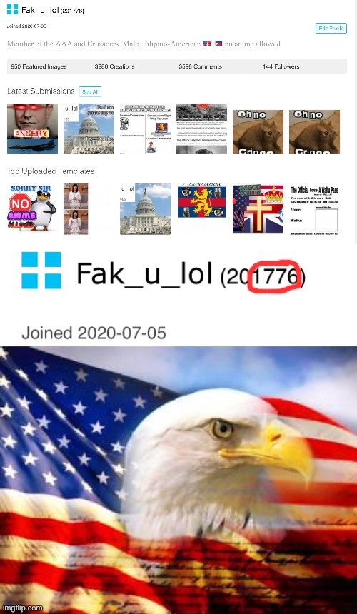 201776 points | image tagged in american flag | made w/ Imgflip meme maker