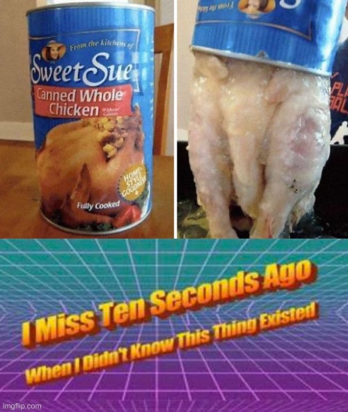 sweet sue | image tagged in i miss ten seconds ago when i didn't know this thing existed,funny,memes,barney will eat all of your delectable biscuits | made w/ Imgflip meme maker