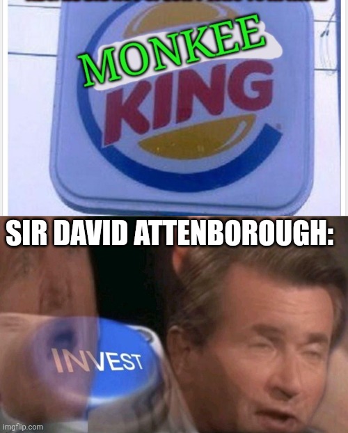 I had to... | SIR DAVID ATTENBOROUGH: | image tagged in invest | made w/ Imgflip meme maker