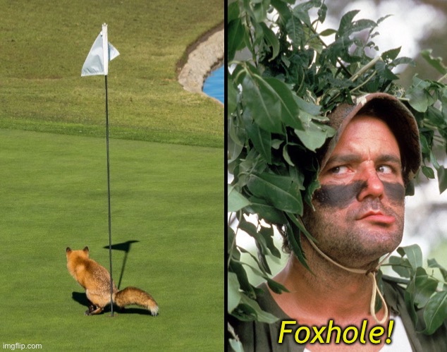 Hole in One | Foxhole! | image tagged in funny memes,funny photos,caddyshack | made w/ Imgflip meme maker