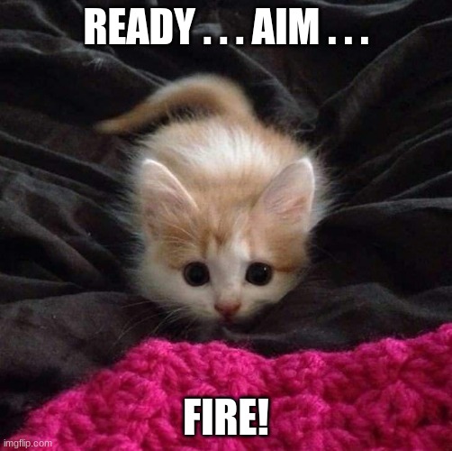 pow | READY . . . AIM . . . FIRE! | image tagged in kitten going to pounce,cute kittens | made w/ Imgflip meme maker