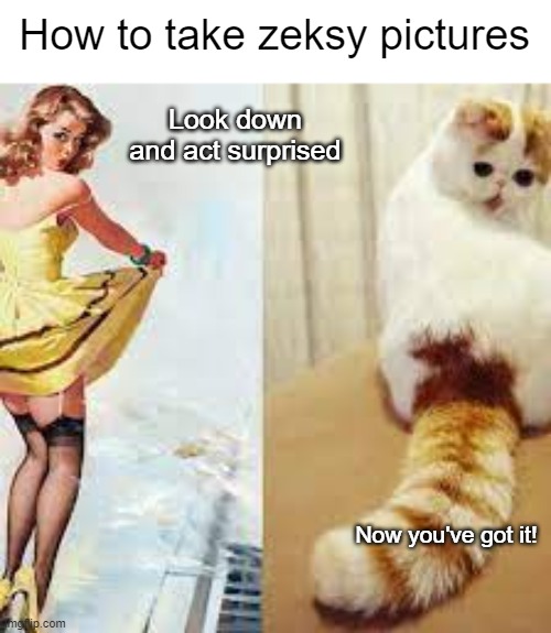 Lookin' pretty good over dere | How to take zeksy pictures; Look down and act surprised; Now you've got it! | made w/ Imgflip meme maker