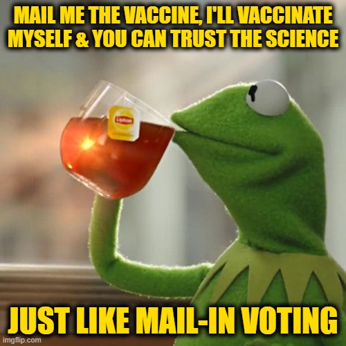 Can't Argue with That | MAIL ME THE VACCINE, I'LL VACCINATE MYSELF & YOU CAN TRUST THE SCIENCE; JUST LIKE MAIL-IN VOTING | image tagged in memes,but that's none of my business,kermit the frog | made w/ Imgflip meme maker