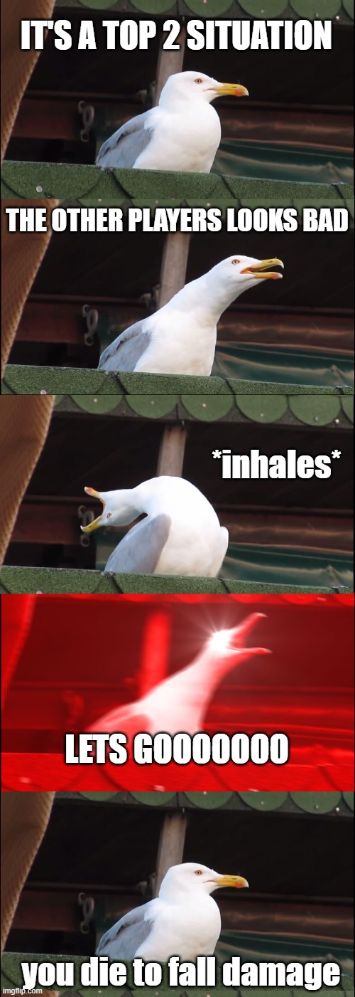 Inhaling Seagull | IT'S A TOP 2 SITUATION; THE OTHER PLAYERS LOOKS BAD; *inhales*; LETS GOOOOOOO; you die to fall damage | image tagged in memes,inhaling seagull | made w/ Imgflip meme maker