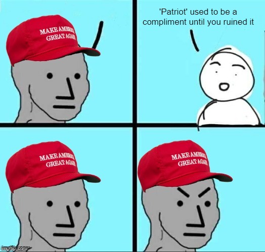 If those kids could read they'd be very upset | 'Patriot' used to be a compliment until you ruined it | image tagged in maga npc an an0nym0us template | made w/ Imgflip meme maker